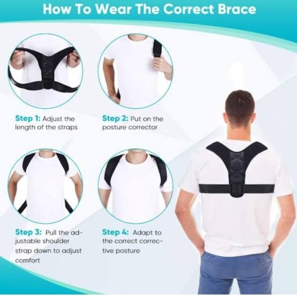 Posture Belt
