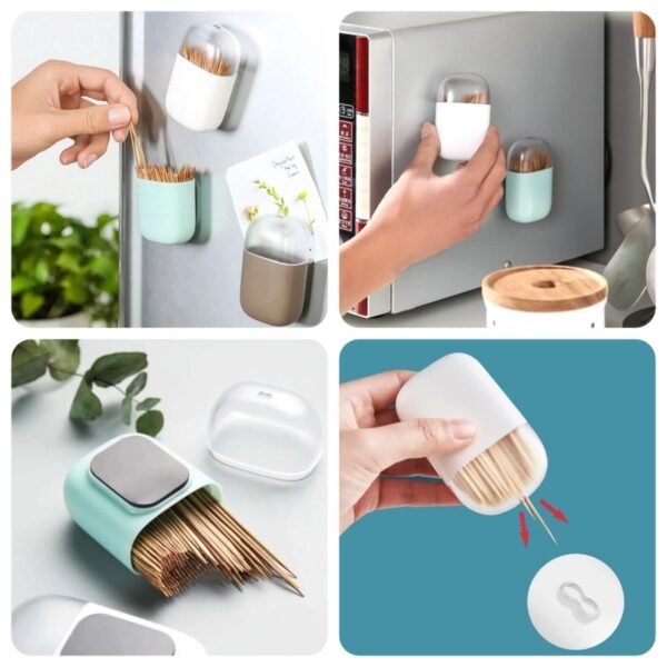 Magnetic Toothpick Holder (Box Packing) Random Colour