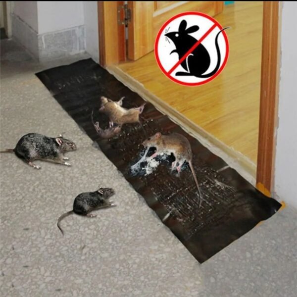 Rat killing Magic Carpet Large-size Rat Sticker