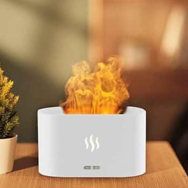 Fire Humidifier