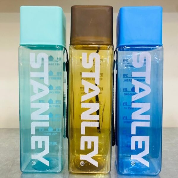 Plastic Stanley Water Bottle (650ml)