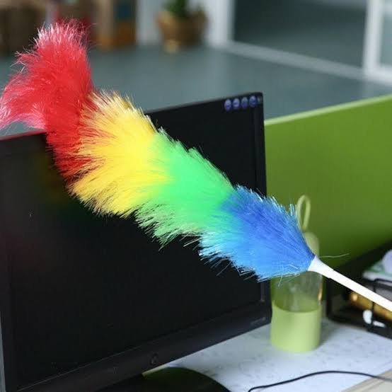 Rainbow Duster
