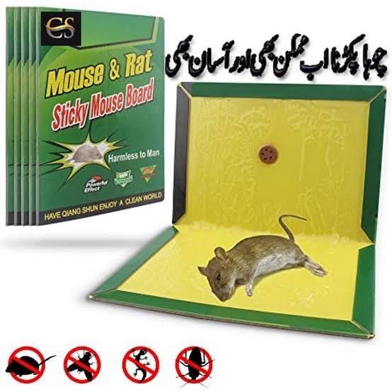 Pack Of 5 Mouse Trap Book